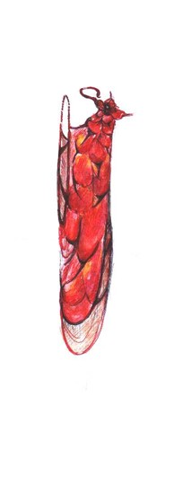 Sketches: Part II