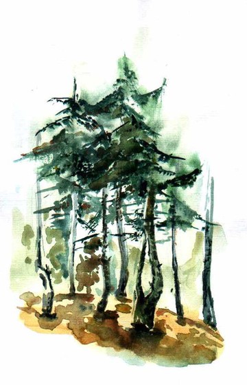 Sketches: Part IV