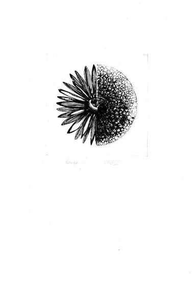 Sketches: Part V