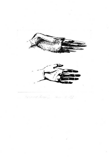Sketches: Part V