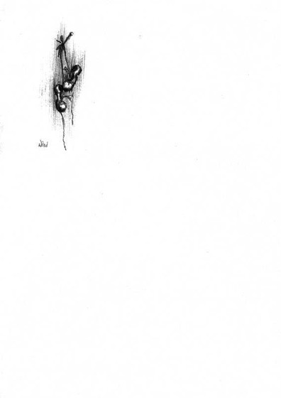 Sketches: Part VII